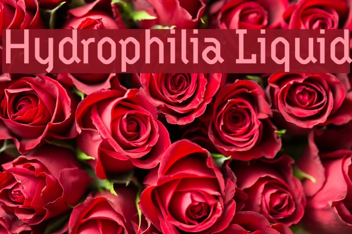 Hydrophilia Liquid Example 1