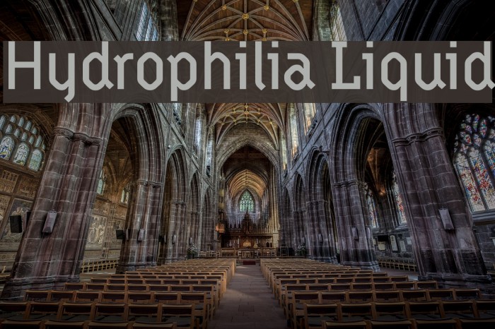 Hydrophilia Liquid Example 2