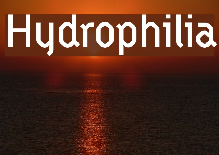 Hydrophilia Example 1