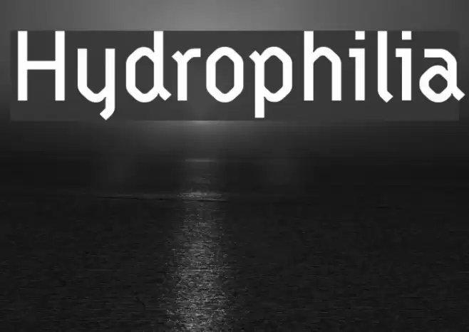 Hydrophilia Font examples