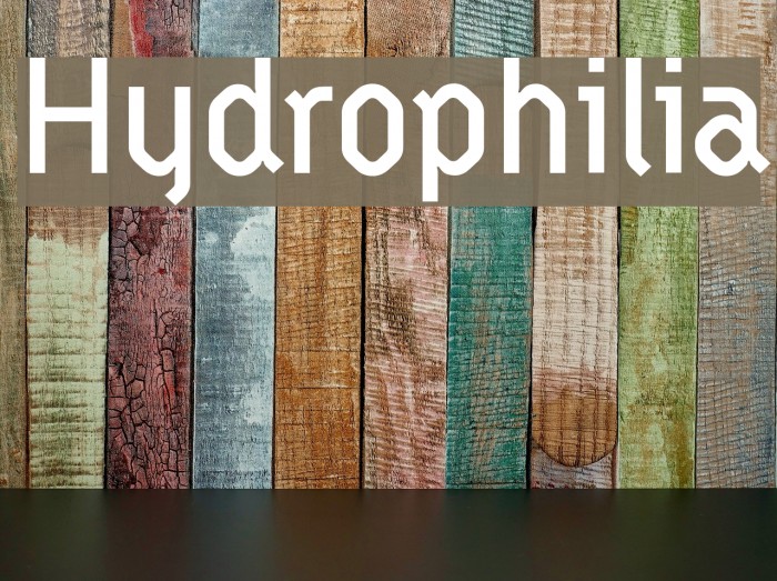 Hydrophilia Example 3