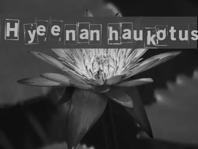 Hyeenan haukotus Font examples