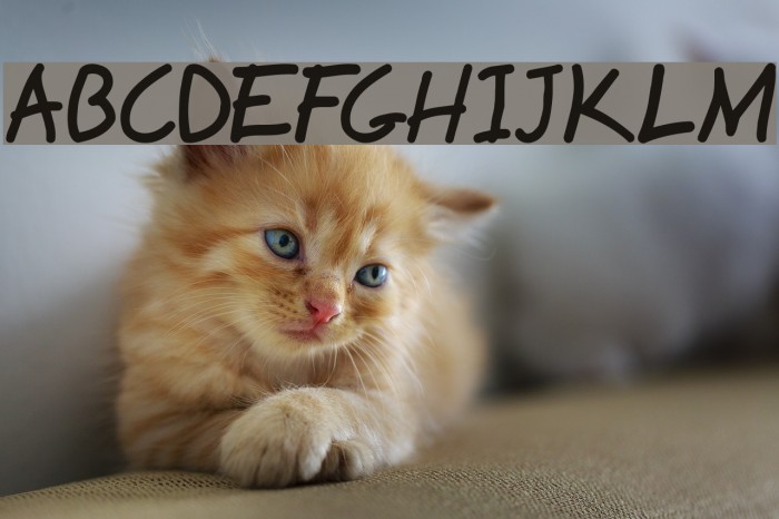 Hyena Font examples