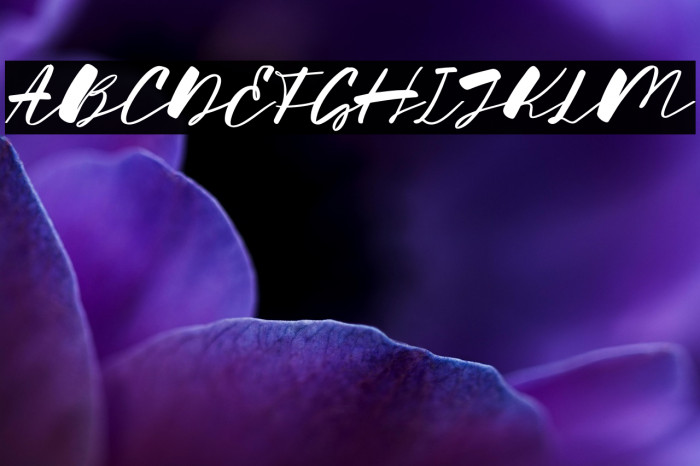 Hygge Home Example 3