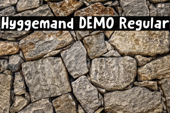 Hyggemand DEMO Regular Example 1