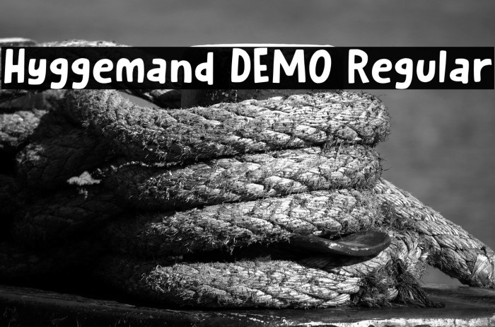 Hyggemand DEMO Regular Example 2