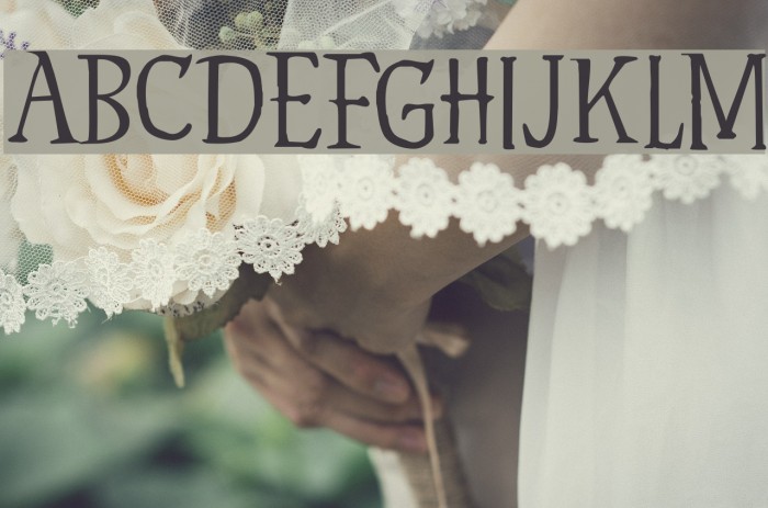 Hyldemoer DEMO Regular Font examples