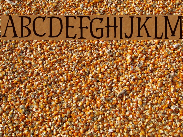 Hyldemoer DEMO Regular Font examples