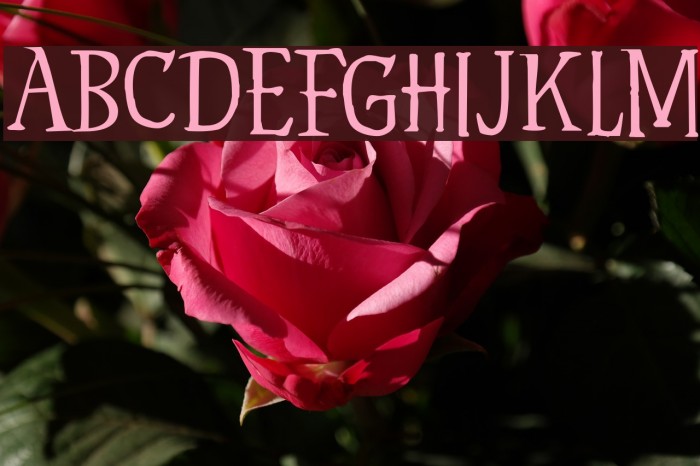 Hyldemoer DEMO Regular Font examples