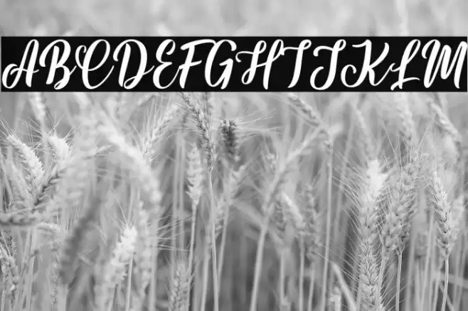 Hynata Font examples