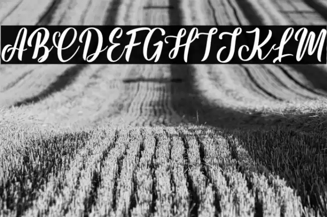 Hynata Font examples