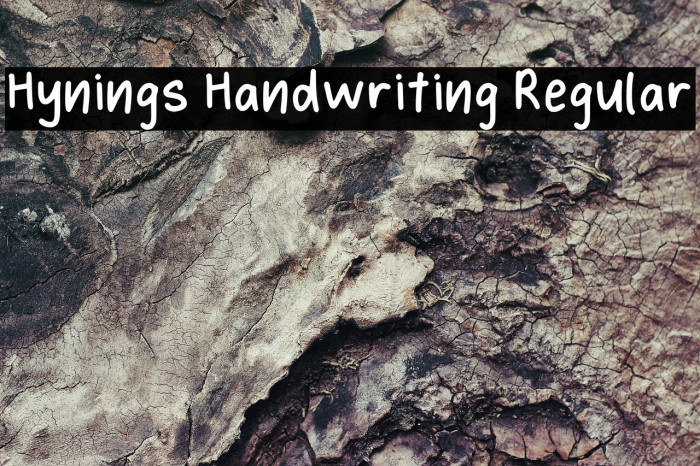Hynings Handwriting Regular Font examples