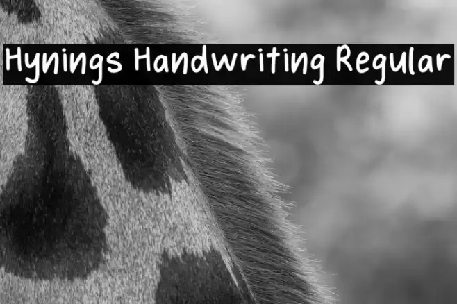 Hynings Handwriting Regular Шрифта examples