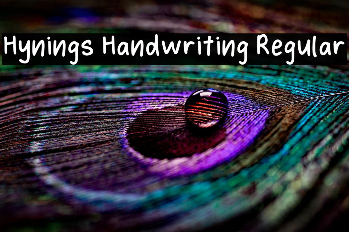 Hynings Handwriting Regular Font examples