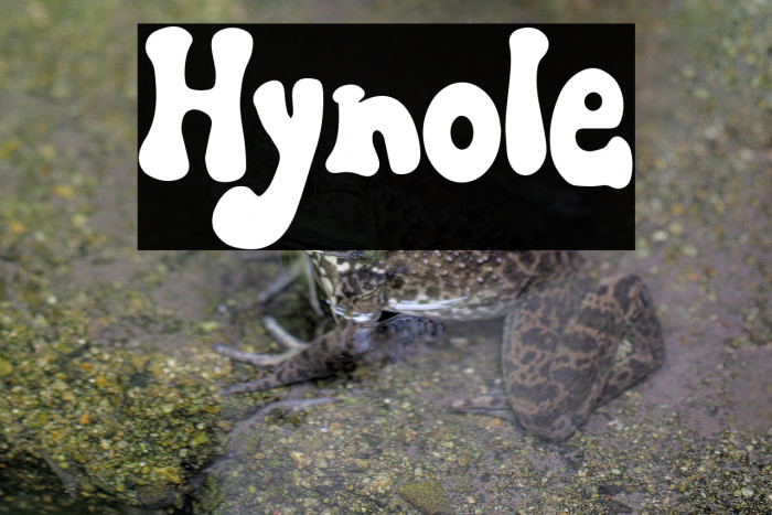 Hynole Example 1