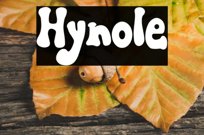 Hynole Example 2