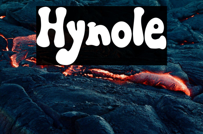 Hynole Example 3