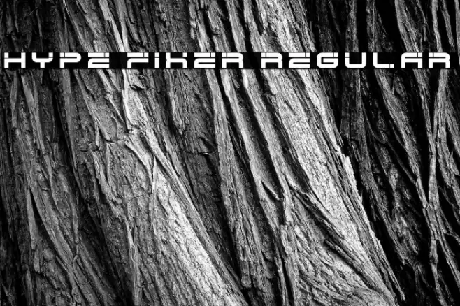 Hype Fixer Regular Font examples