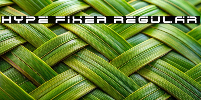 Hype Fixer Regular Example 3