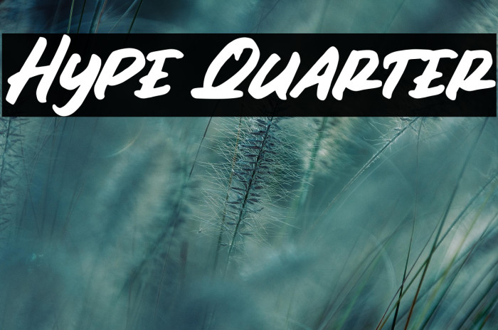 Hype Quarter Example 2
