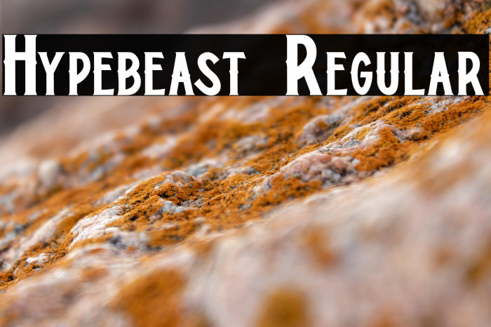 Hypebeast Regular Example 3