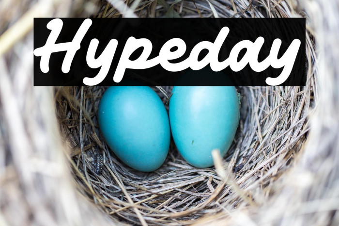 Hypeday Example 1