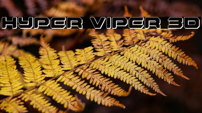 Hyper Viper 3D Example 3
