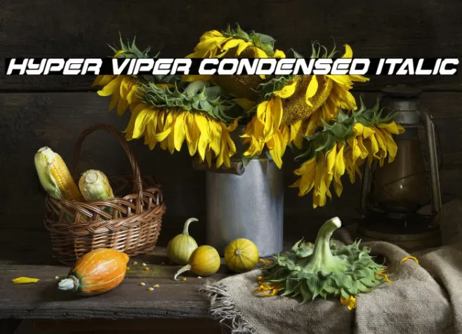 Hyper Viper Condensed Italic Example 2