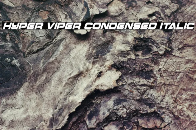 Hyper Viper Condensed Italic Example 3