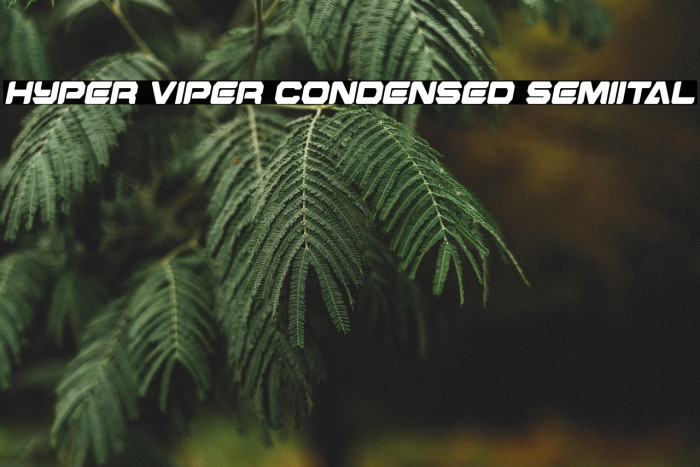Hyper Viper Condensed SemiItal Example 3