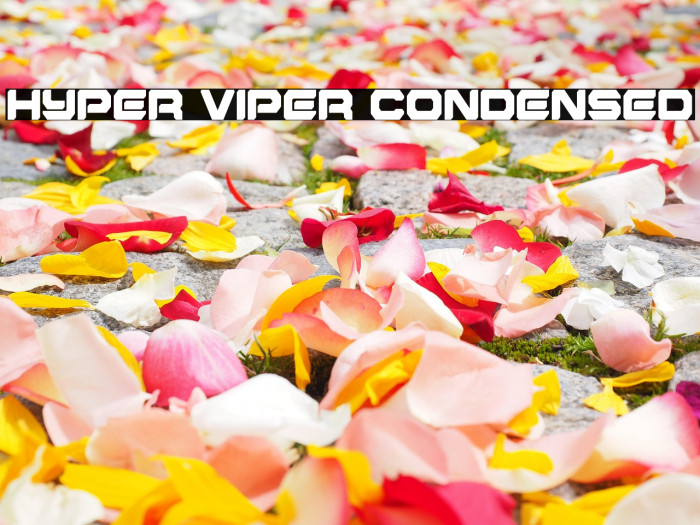 Hyper Viper Condensed Example 1