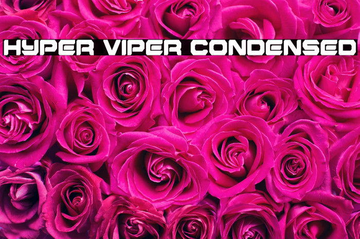 Hyper Viper Condensed Example 2