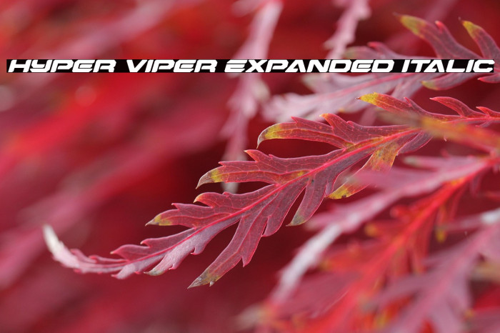 Hyper Viper Expanded Italic Example 2