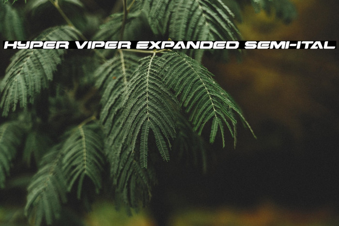Hyper Viper Expanded Semi-Ital Example 1