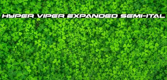 Hyper Viper Expanded Semi-Ital Example 2
