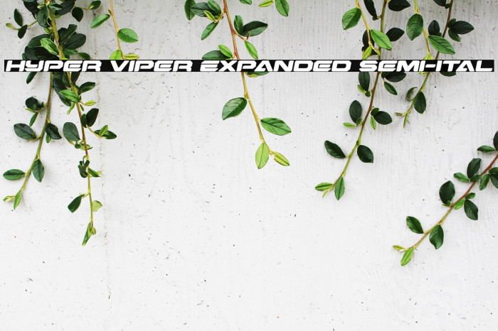 Hyper Viper Expanded Semi-Ital Example 3