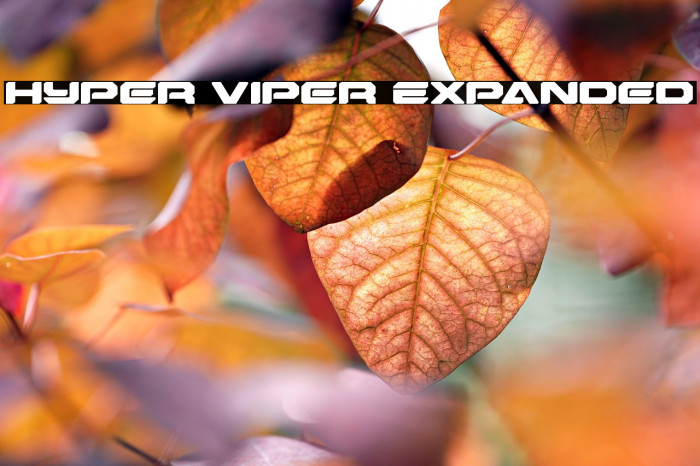 Hyper Viper Expanded Example 2