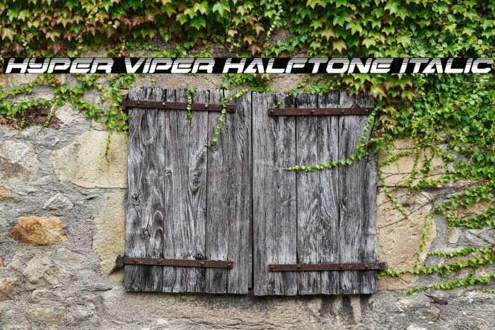 Hyper Viper Halftone Italic Example 3