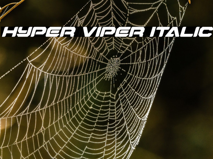 Hyper Viper Italic Example 3
