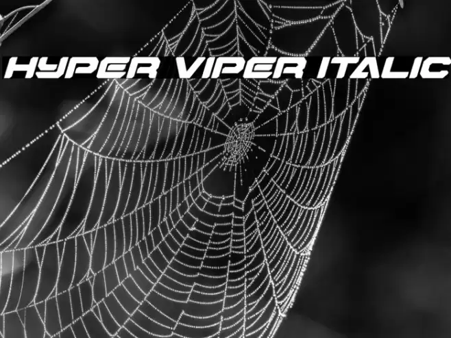 Hyper Viper Italic Font examples