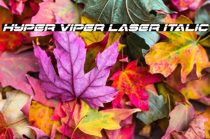 Hyper Viper Laser Italic Example 1