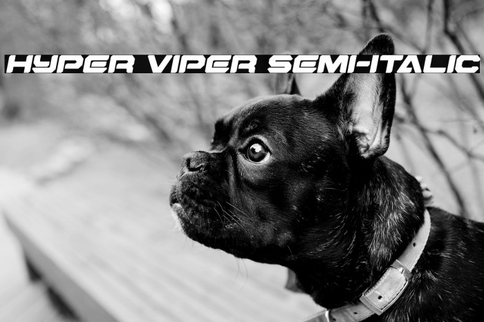 Hyper Viper Semi-Italic Example 2