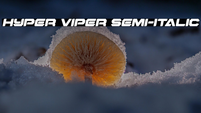 Hyper Viper Semi-Italic Example 3