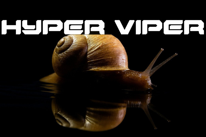 Hyper Viper Example 3