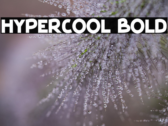 HyperCool Bold Example 1