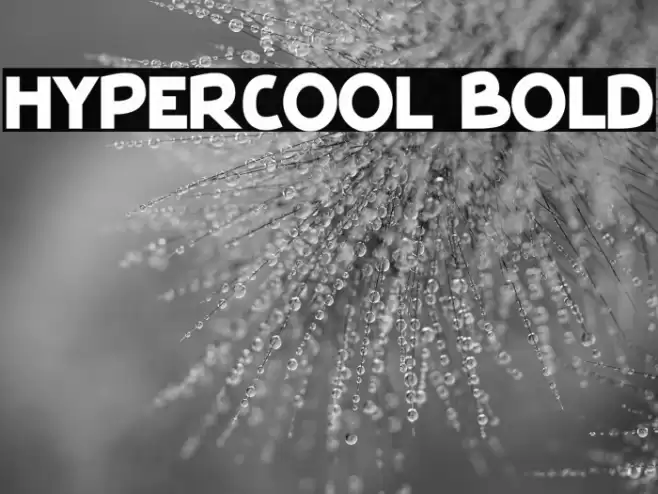 HyperCool Bold Font examples