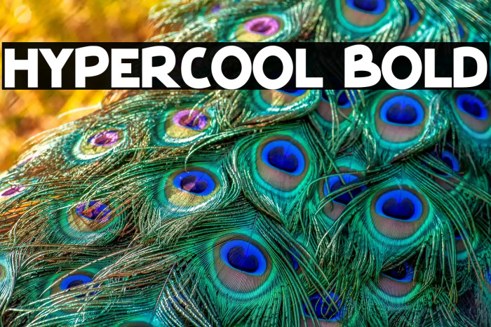 HyperCool Bold Example 2