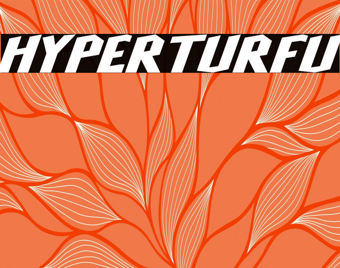 HyperTurfu Example 1