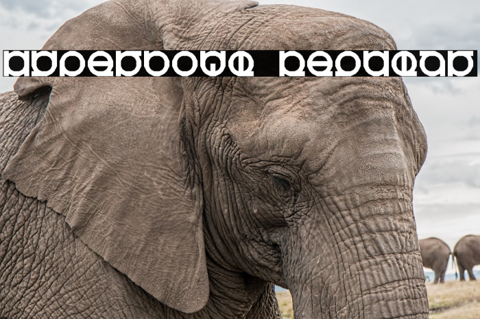 Hyperbowl Regular Font examples