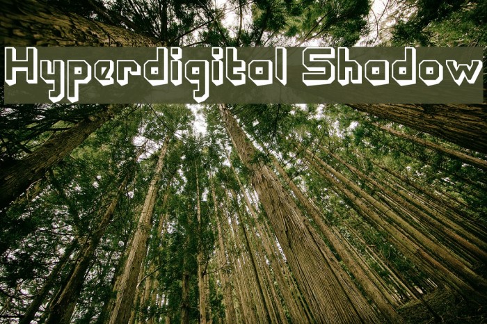 Hyperdigital Shadow Font examples